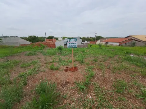 Comprar Terreno / Padr&atilde;o em Bady Bassitt R$ 70.000,00 - Foto 14