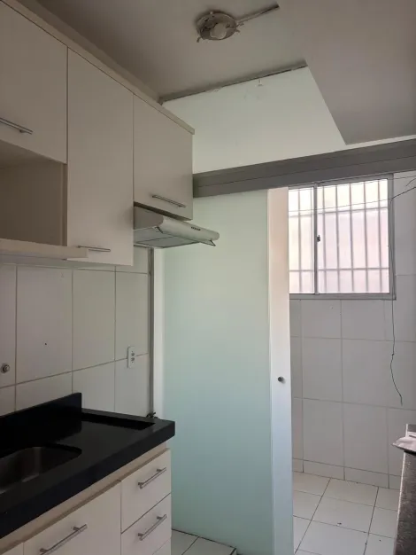 Alugar Apartamento / Padr&atilde;o em S&atilde;o Jos&eacute; do Rio Preto R$ 1.300,00 - Foto 8