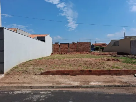 Comprar Terreno / Padr&atilde;o em Mirassol R$ 100.000,00 - Foto 9