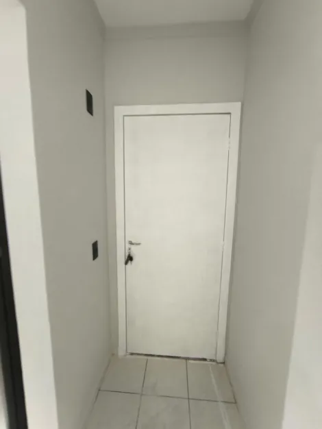 Alugar Apartamento / Padr&atilde;o em S&atilde;o Jos&eacute; do Rio Preto R$ 1.500,00 - Foto 15
