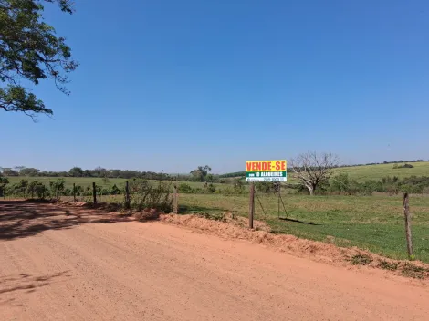 Comprar Rural / S&iacute;tio em S&atilde;o Jos&eacute; do Rio Preto R$ 7.000.000,00 - Foto 10