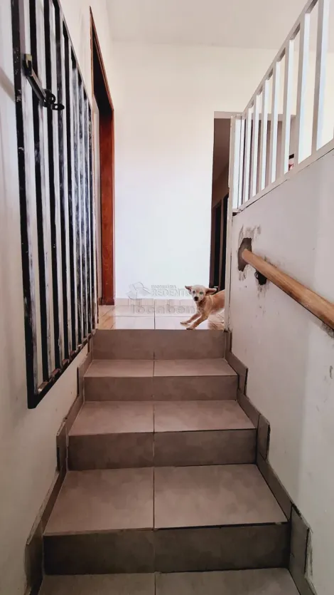 Alugar Comercial / Sal&atilde;o em S&atilde;o Jos&eacute; do Rio Preto R$ 1.600,00 - Foto 35