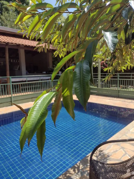 Comprar Rural / Ch&aacute;cara em S&atilde;o Jos&eacute; do Rio Preto R$ 900.000,00 - Foto 2
