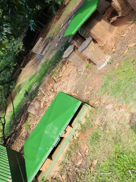 Comprar Rural / Ch&aacute;cara em S&atilde;o Jos&eacute; do Rio Preto R$ 900.000,00 - Foto 27