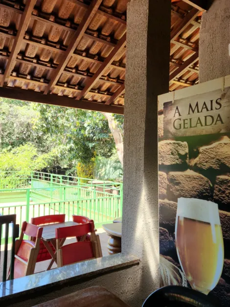 Comprar Rural / Ch&aacute;cara em S&atilde;o Jos&eacute; do Rio Preto R$ 900.000,00 - Foto 17