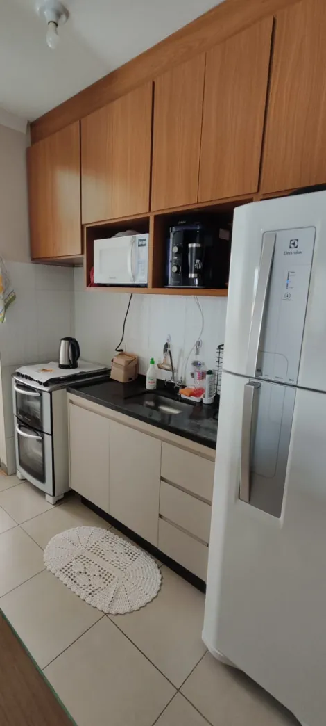 Alugar Apartamento / Padr&atilde;o em S&atilde;o Jos&eacute; do Rio Preto. apenas R$ 900,00