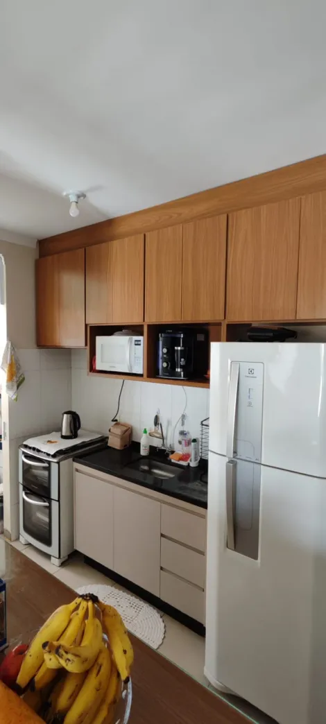 Alugar Apartamento / Padr&atilde;o em S&atilde;o Jos&eacute; do Rio Preto R$ 900,00 - Foto 2