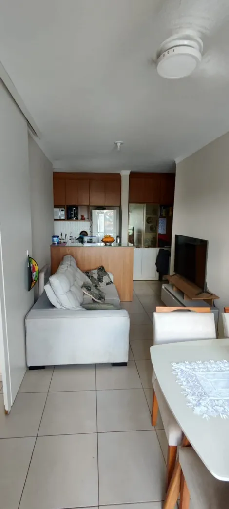 Alugar Apartamento / Padr&atilde;o em S&atilde;o Jos&eacute; do Rio Preto R$ 900,00 - Foto 4