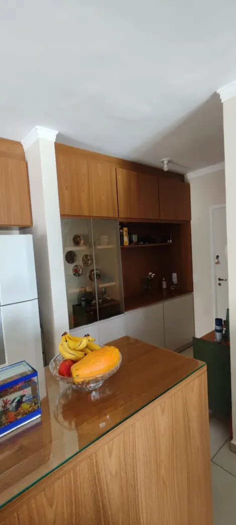 Alugar Apartamento / Padr&atilde;o em S&atilde;o Jos&eacute; do Rio Preto R$ 900,00 - Foto 9