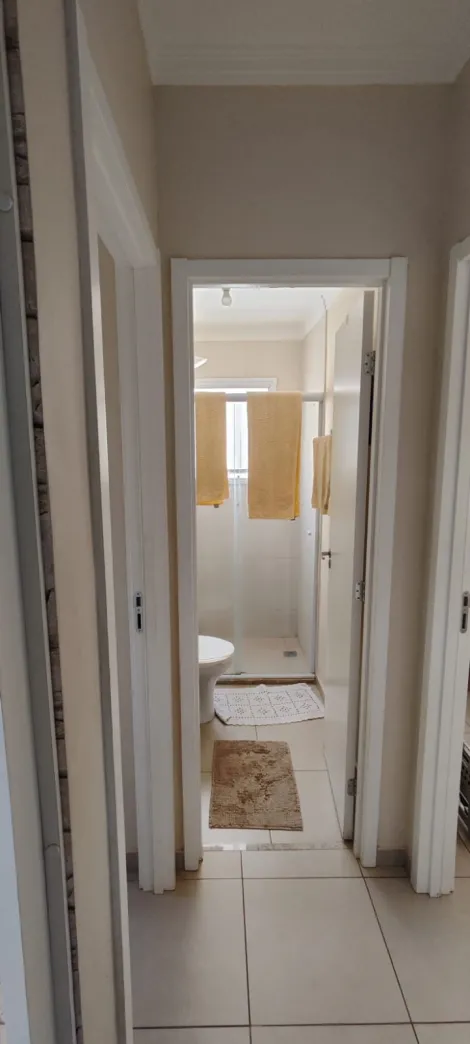 Alugar Apartamento / Padr&atilde;o em S&atilde;o Jos&eacute; do Rio Preto R$ 900,00 - Foto 12