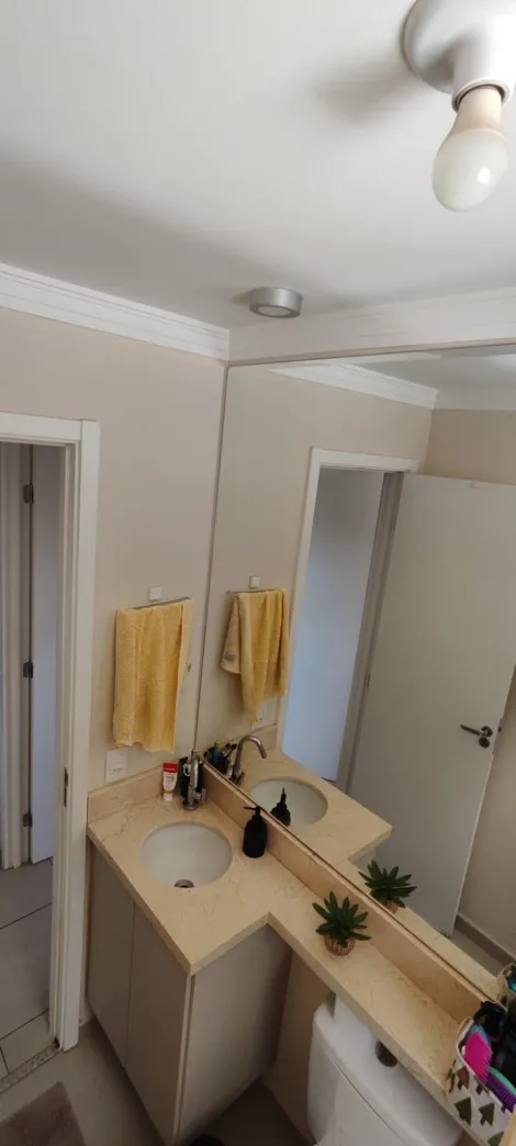 Alugar Apartamento / Padr&atilde;o em S&atilde;o Jos&eacute; do Rio Preto R$ 900,00 - Foto 13