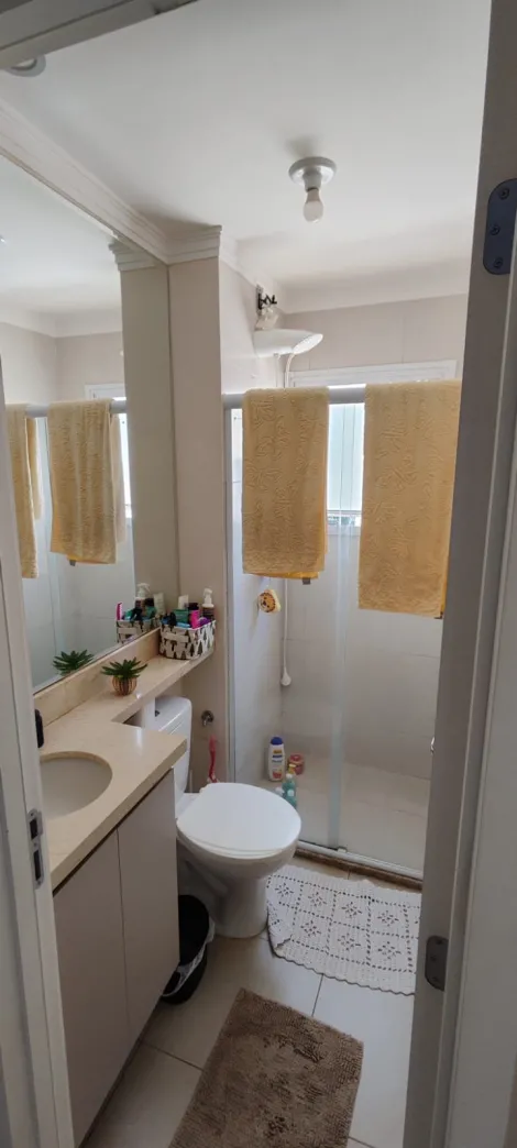 Alugar Apartamento / Padr&atilde;o em S&atilde;o Jos&eacute; do Rio Preto R$ 900,00 - Foto 14
