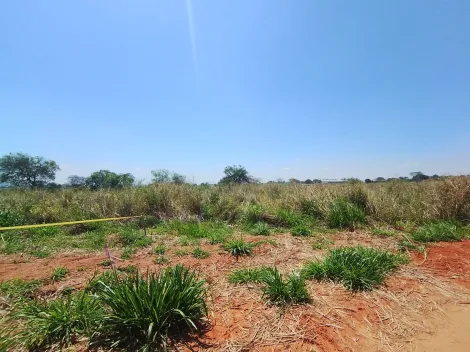 Alugar Terreno / &Aacute;rea em S&atilde;o Jos&eacute; do Rio Preto R$ 10.000,00 - Foto 9