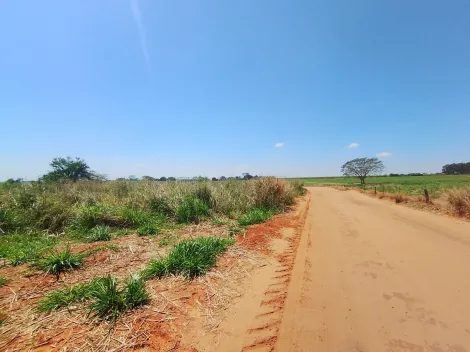 Alugar Terreno / &Aacute;rea em S&atilde;o Jos&eacute; do Rio Preto R$ 10.000,00 - Foto 10