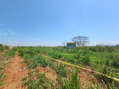 Alugar Terreno / &Aacute;rea em S&atilde;o Jos&eacute; do Rio Preto R$ 10.000,00 - Foto 11