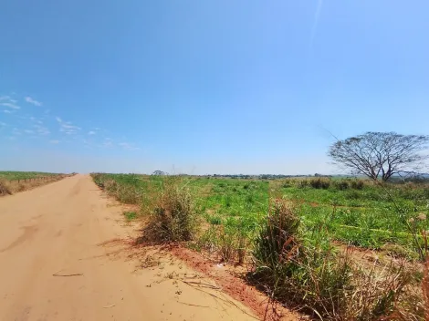 Alugar Terreno / &Aacute;rea em S&atilde;o Jos&eacute; do Rio Preto R$ 10.000,00 - Foto 13