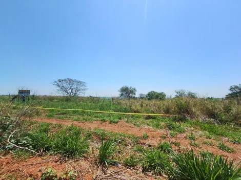 Alugar Terreno / &Aacute;rea em S&atilde;o Jos&eacute; do Rio Preto R$ 10.000,00 - Foto 14