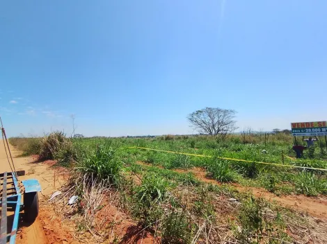 Alugar Terreno / &Aacute;rea em S&atilde;o Jos&eacute; do Rio Preto R$ 10.000,00 - Foto 15