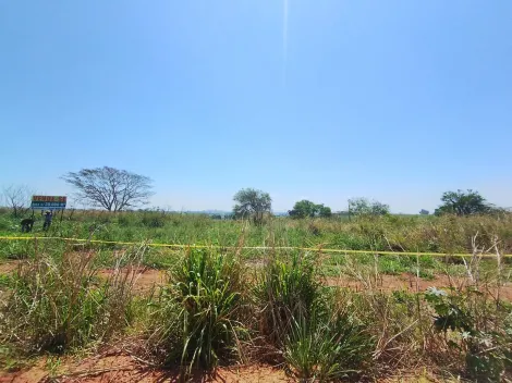 Alugar Terreno / &Aacute;rea em S&atilde;o Jos&eacute; do Rio Preto R$ 10.000,00 - Foto 17