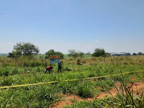 Alugar Terreno / &Aacute;rea em S&atilde;o Jos&eacute; do Rio Preto R$ 10.000,00 - Foto 18