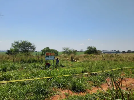 Alugar Terreno / &Aacute;rea em S&atilde;o Jos&eacute; do Rio Preto R$ 10.000,00 - Foto 20