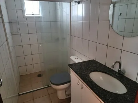 Alugar Apartamento / Studio em S&atilde;o Jos&eacute; do Rio Preto R$ 1.300,00 - Foto 11
