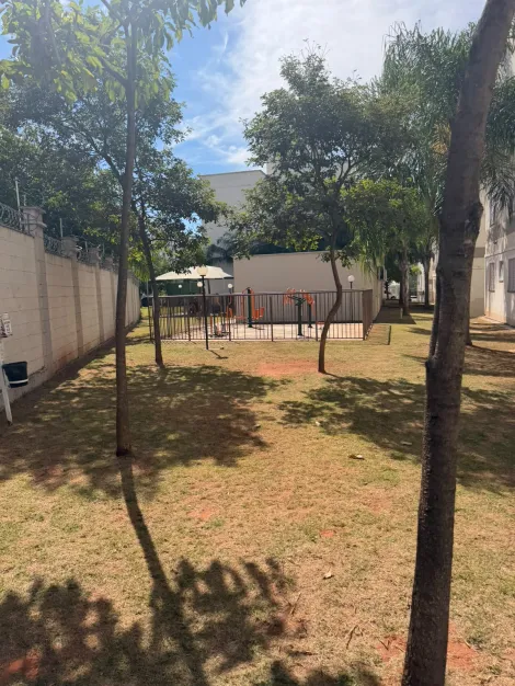Alugar Apartamento / Padr&atilde;o em S&atilde;o Jos&eacute; do Rio Preto R$ 1.200,00 - Foto 9