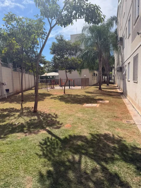 Alugar Apartamento / Padr&atilde;o em S&atilde;o Jos&eacute; do Rio Preto R$ 1.200,00 - Foto 11