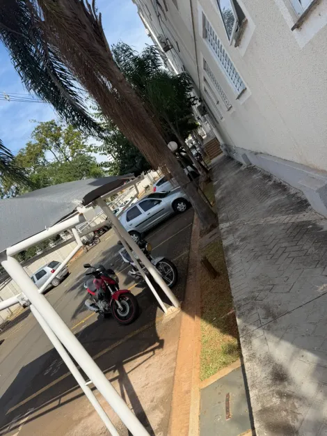 Alugar Apartamento / Padr&atilde;o em S&atilde;o Jos&eacute; do Rio Preto R$ 1.200,00 - Foto 14