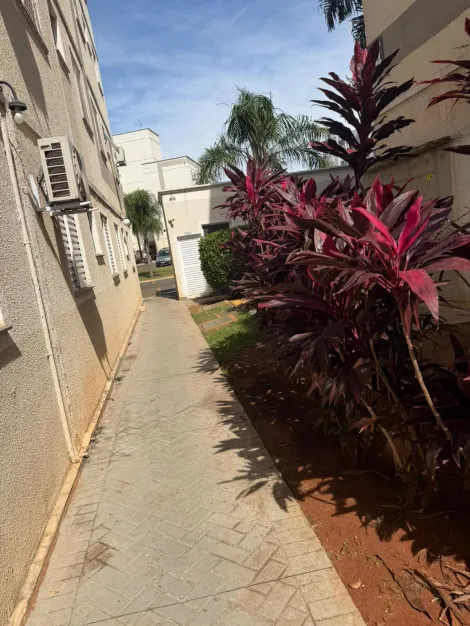 Alugar Apartamento / Padr&atilde;o em S&atilde;o Jos&eacute; do Rio Preto R$ 1.200,00 - Foto 16
