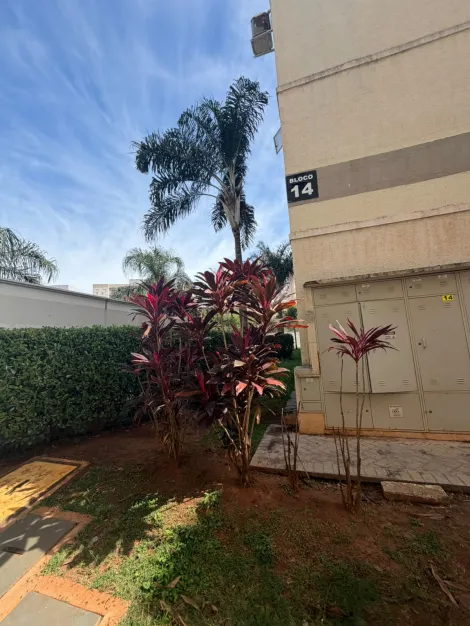 Alugar Apartamento / Padr&atilde;o em S&atilde;o Jos&eacute; do Rio Preto R$ 1.200,00 - Foto 17
