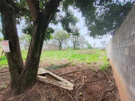 Comprar Terreno / Padr&atilde;o em Bady Bassitt R$ 1.500.000,00 - Foto 5