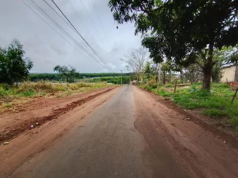 Comprar Terreno / Padr&atilde;o em Bady Bassitt R$ 1.500.000,00 - Foto 6