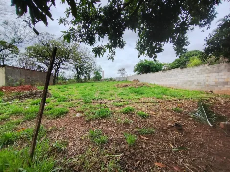 Comprar Terreno / Padr&atilde;o em Bady Bassitt R$ 1.500.000,00 - Foto 7
