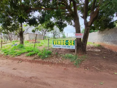 Comprar Terreno / Padr&atilde;o em Bady Bassitt R$ 1.500.000,00 - Foto 13