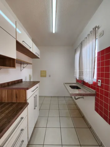 Alugar Casa / Condom&iacute;nio em S&atilde;o Jos&eacute; do Rio Preto R$ 1.300,00 - Foto 4