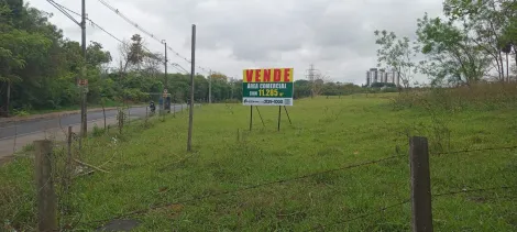 Alugar Terreno / &Aacute;rea em S&atilde;o Jos&eacute; do Rio Preto R$ 50.000,00 - Foto 11
