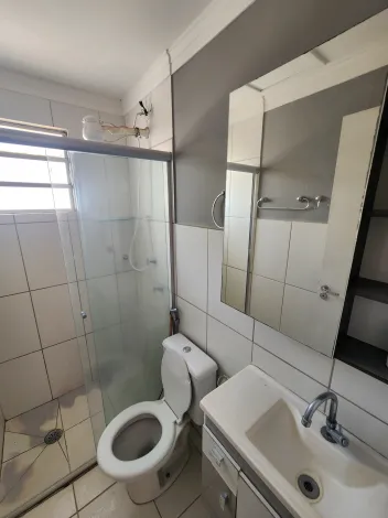 Alugar Apartamento / Padr&atilde;o em S&atilde;o Jos&eacute; do Rio Preto R$ 800,00 - Foto 7
