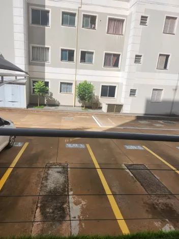 Alugar Apartamento / Padr&atilde;o em S&atilde;o Jos&eacute; do Rio Preto R$ 800,00 - Foto 11