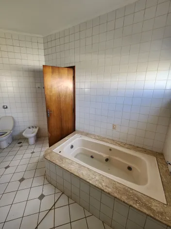 Alugar Comercial / Casa Comercial em S&atilde;o Jos&eacute; do Rio Preto R$ 6.000,00 - Foto 28