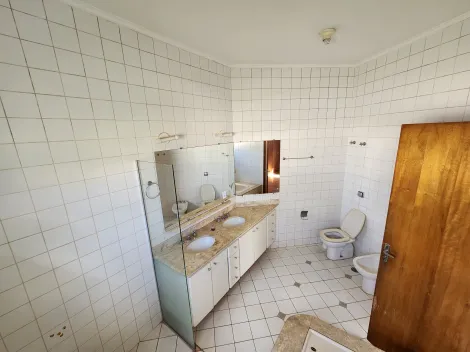 Alugar Comercial / Casa Comercial em S&atilde;o Jos&eacute; do Rio Preto R$ 6.000,00 - Foto 29