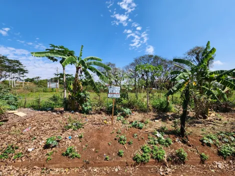 Sao Jose do Rio Preto Jardim Jandira Area Venda R$4.900.000,00  Area do terreno 4900.00m2 