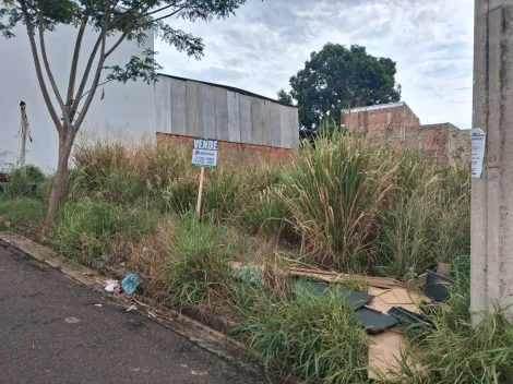 Comprar Terreno / Padr&atilde;o em Bady Bassitt R$ 150.000,00 - Foto 3