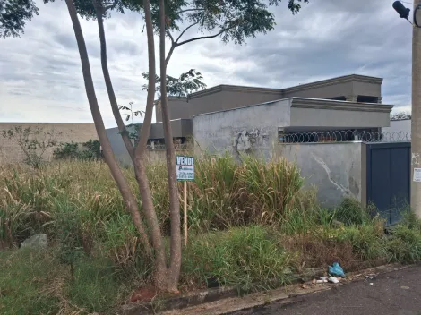 Comprar Terreno / Padr&atilde;o em Bady Bassitt R$ 150.000,00 - Foto 4