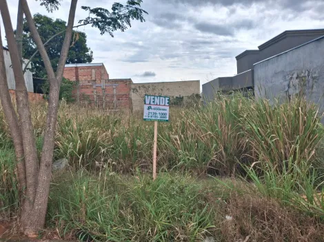 Comprar Terreno / Padr&atilde;o em Bady Bassitt R$ 150.000,00 - Foto 5