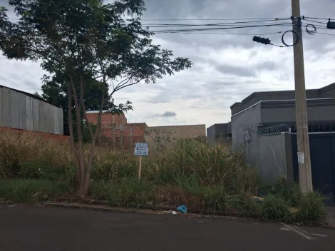 Comprar Terreno / Padr&atilde;o em Bady Bassitt R$ 150.000,00 - Foto 6