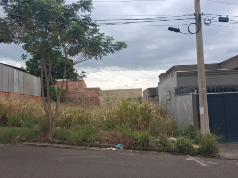 Comprar Terreno / Padr&atilde;o em Bady Bassitt R$ 150.000,00 - Foto 7