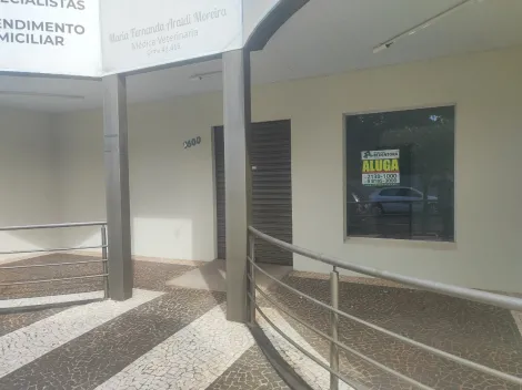 Alugar Comercial / Sal&atilde;o em S&atilde;o Jos&eacute; do Rio Preto R$ 2.200,00 - Foto 11