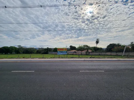 Alugar Terreno / &Aacute;rea em S&atilde;o Jos&eacute; do Rio Preto R$ 11.000,00 - Foto 2