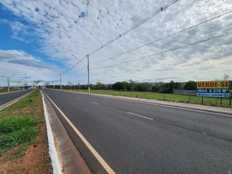 Alugar Terreno / &Aacute;rea em S&atilde;o Jos&eacute; do Rio Preto R$ 11.000,00 - Foto 3
